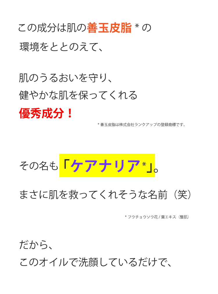商品の成分説明